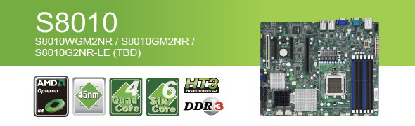 S8010